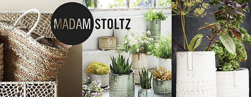 Neues von Madam Stoltz